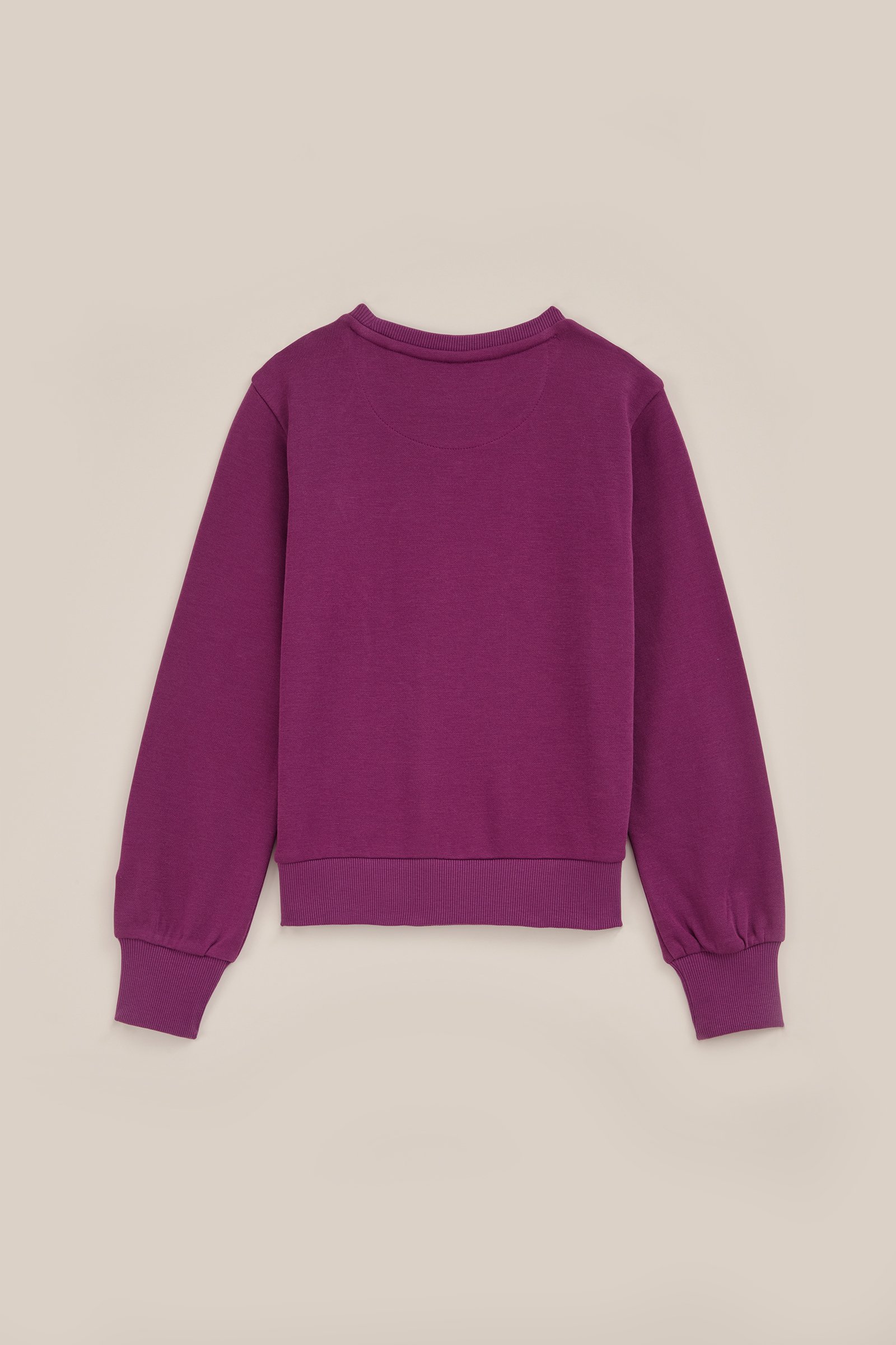 Meisjes sweater met embroidery WE Fashion Paars