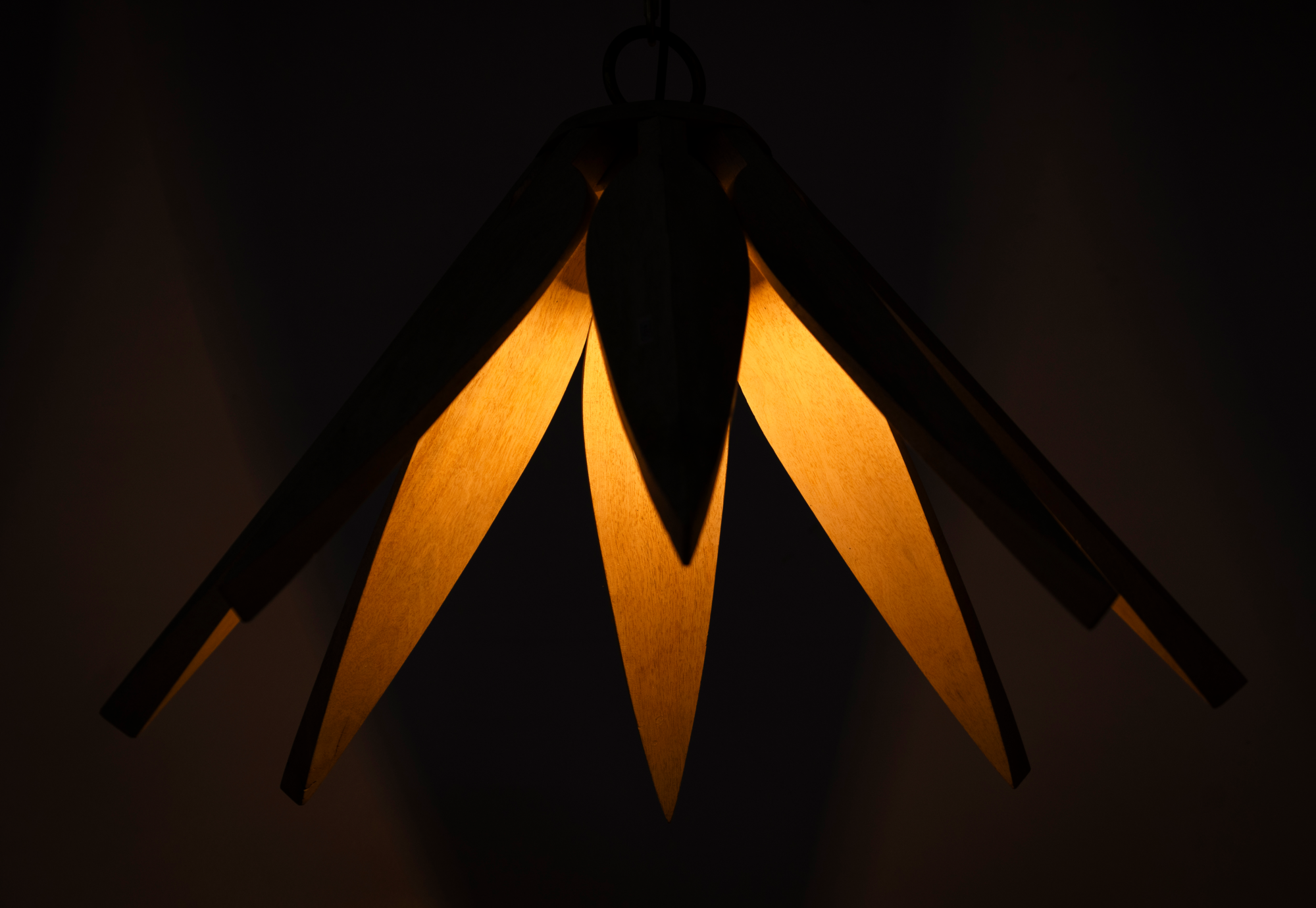 Hanglamp Bharani #1