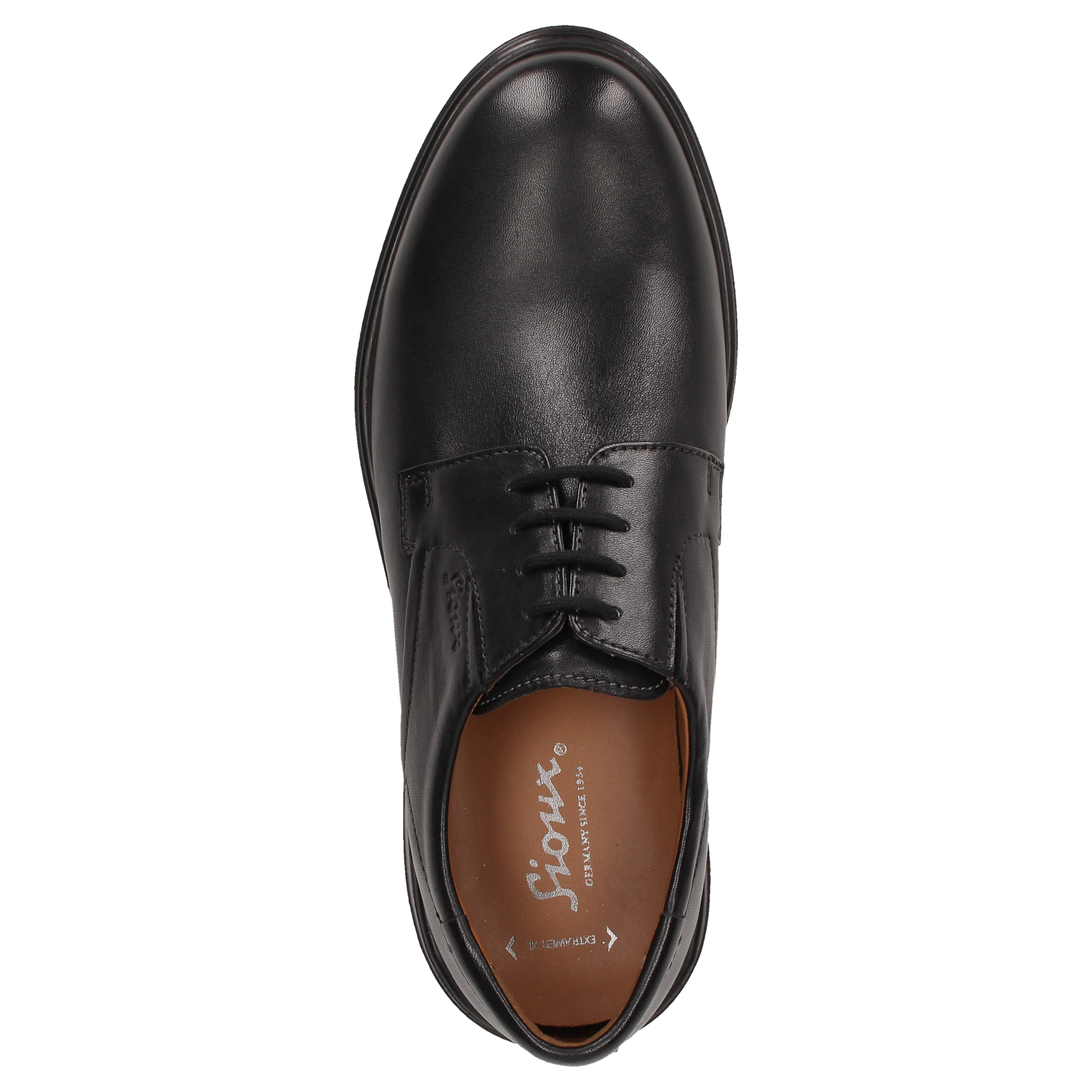 Punjo-181-XL