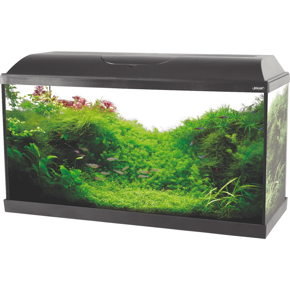 Kit aquarium iseo 84 litres éclairage led