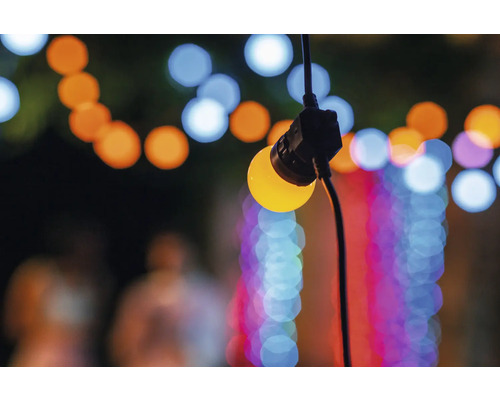 Twinkly Festoon Multicolor LED-lichtsnoer 40 LED's