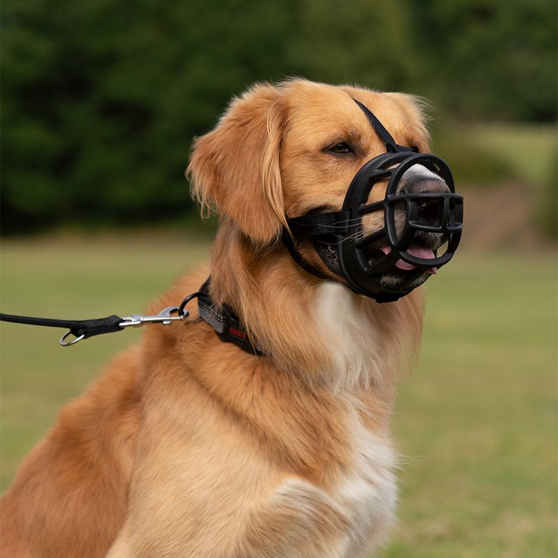 Muselière Baskerville Ultra 2.0 pour chien