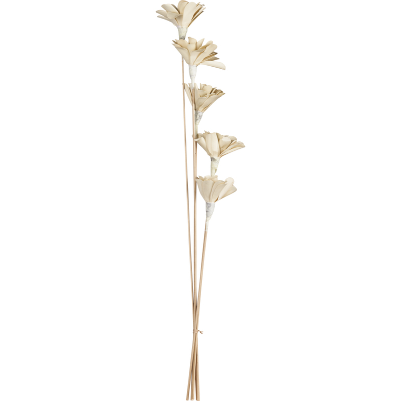 EGLO Trockenblume Senneterre, 60 cm, weiss