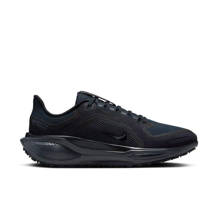 Nike Dame Løbesko Pegasus 41 Gore-Tex Sort