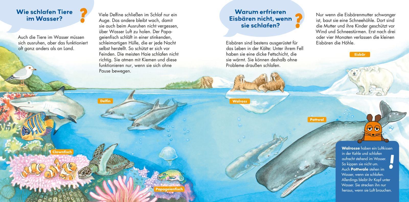 Wie schlafen die Tiere? / Frag doch mal ... die Maus! Erstes Sachwissen Bd.23
