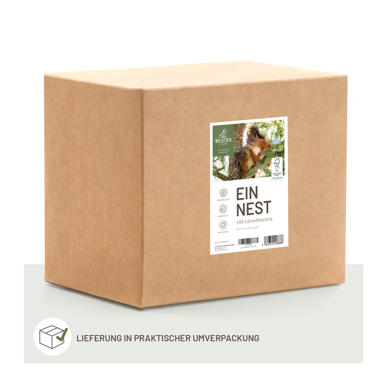 wildtier liebe Eichhörnchen Kobel
