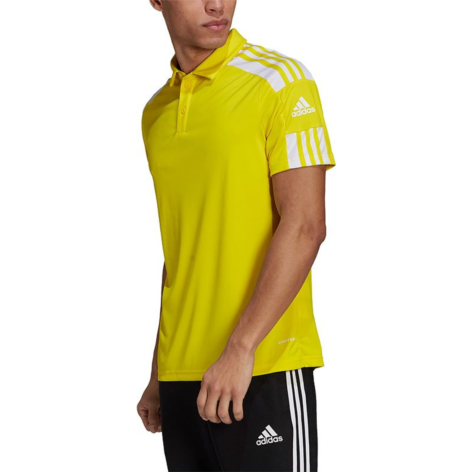 adidas Squadra Polo