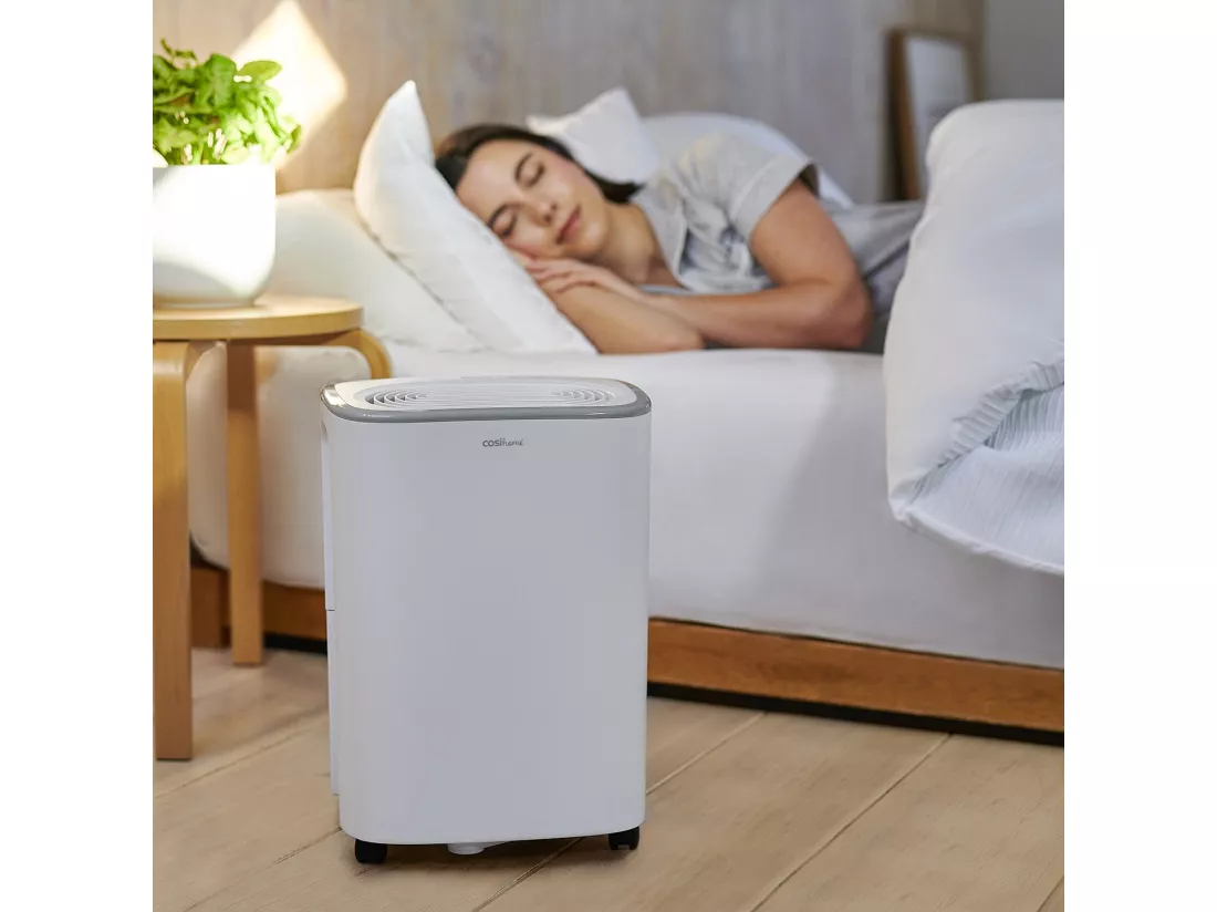 Pro Breeze Déshumidificateur économe en énergie 12 l avec réservoir d'eau de 2,5 l