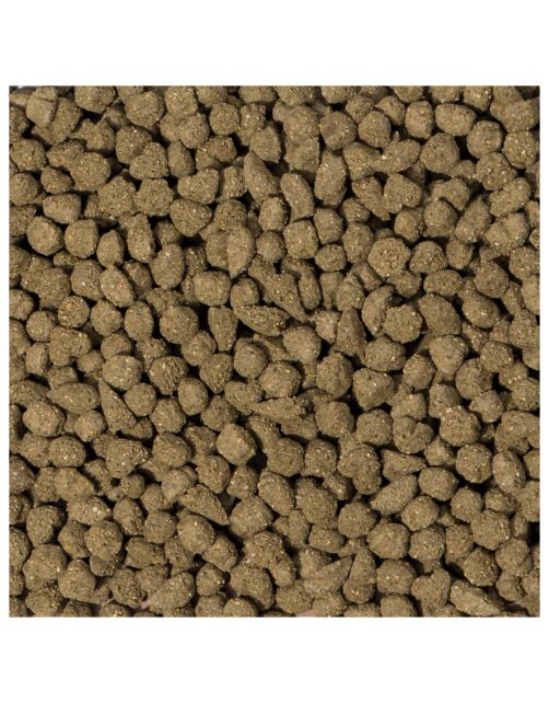 Beaphar Care Plus Konijn Senior - Konijnenvoer - 1.5 kg