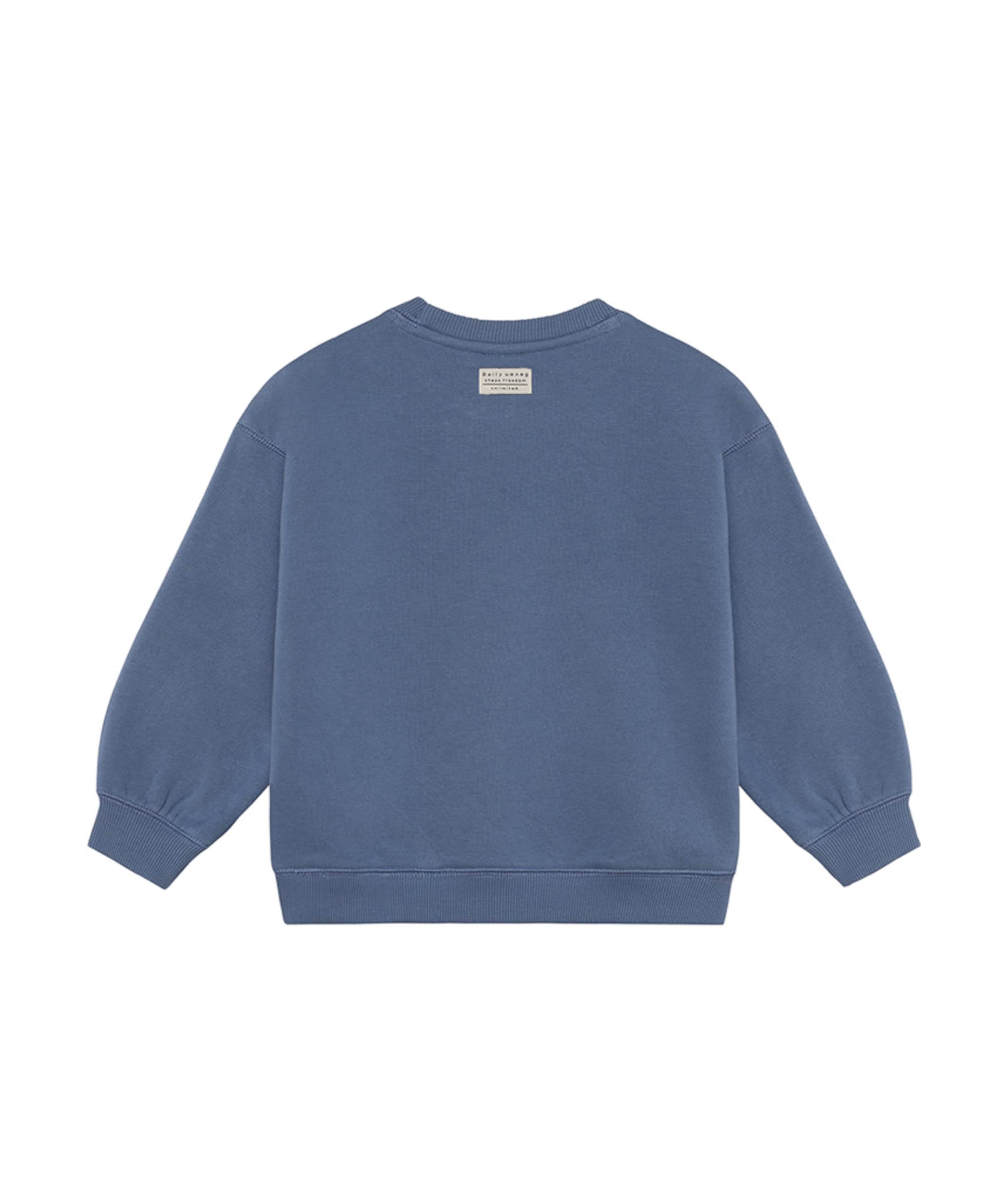 Daily7 Jongens sweater blauw