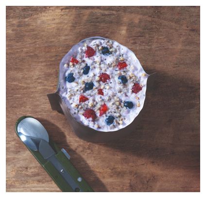 Petit-déjeuner Lyophilisé MX3 Porridge aux Fruits rouges - 110g