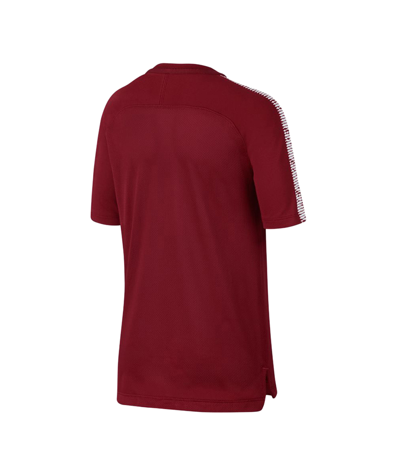 Nike Breathe Squad Football Top kurzarm Kids F608