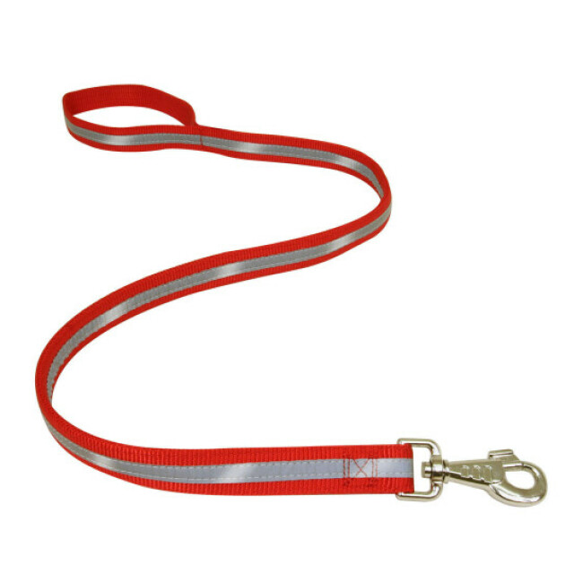 Laisse fluorescente en nylon