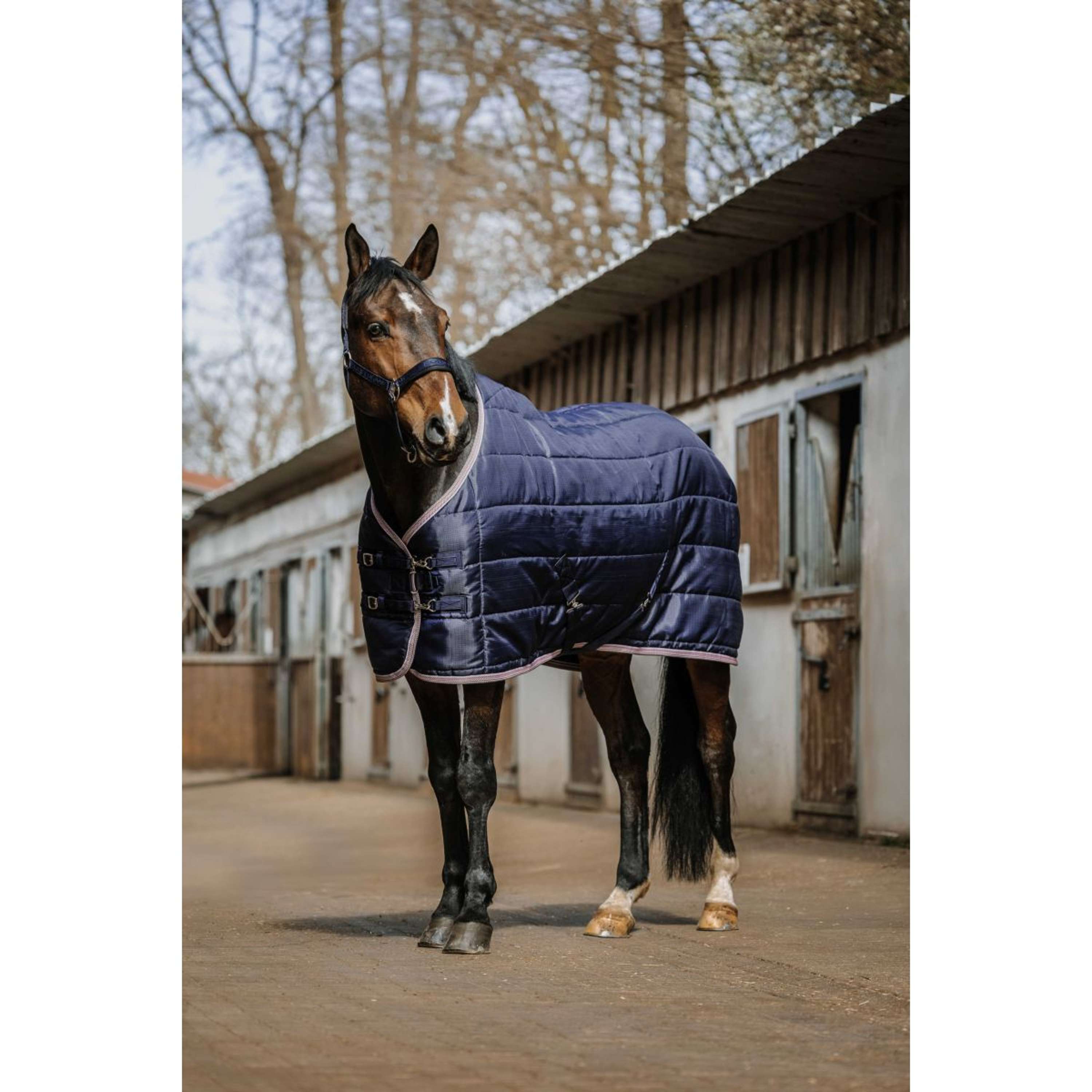 EQUITHÈME Staldeken Aztec 200gr Navy