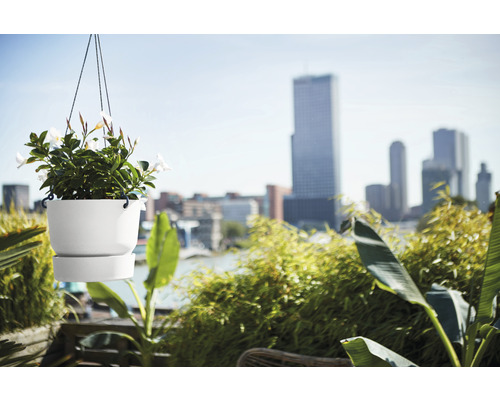 elho Greenville hangende bloemenmand Ø 24 cm kunststof wit