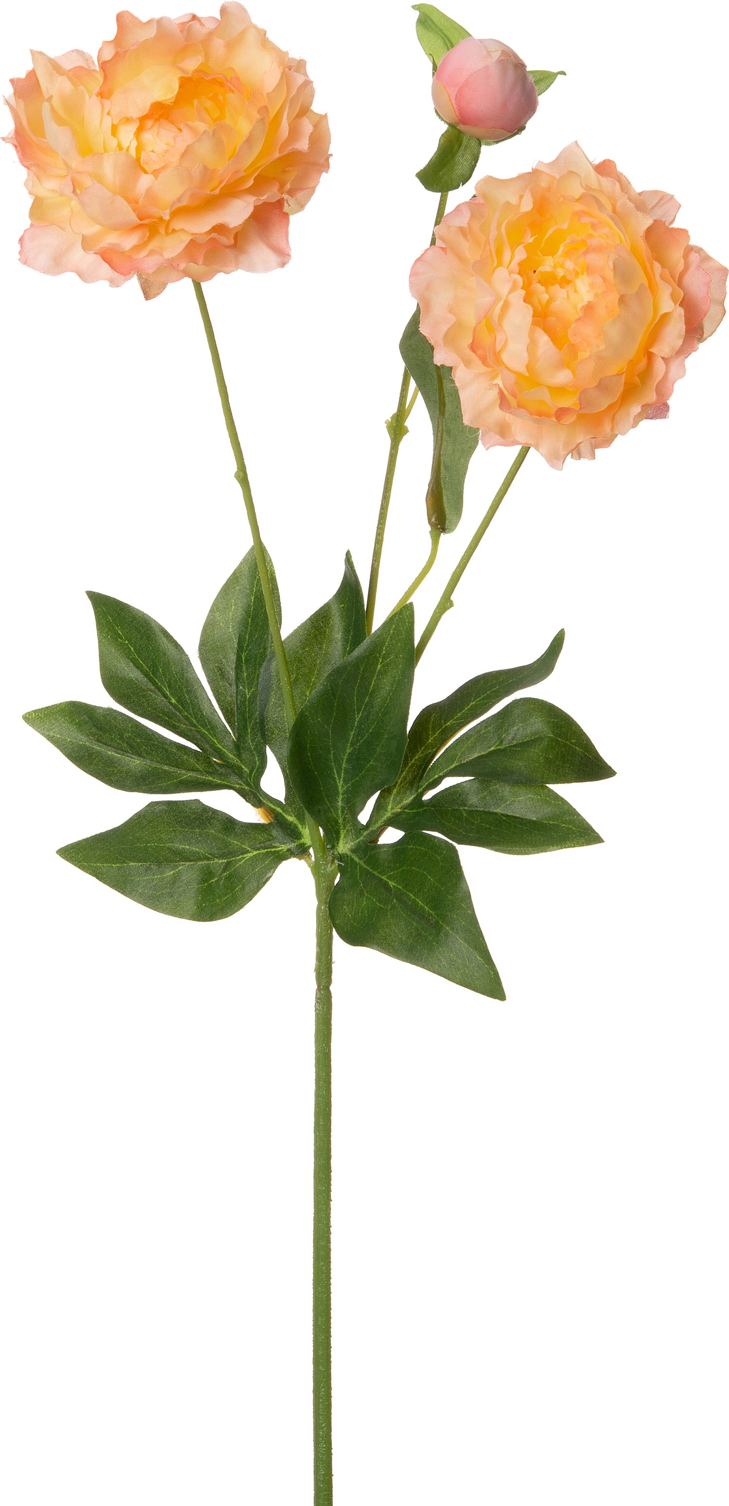 Intratuin kunstbloem Pioen geel oranje 66 cm