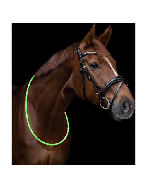 Waldhausen Led Halsband - Ruiteraccessoires