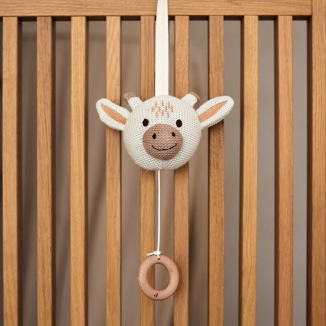 Jollein muziekdoosje giraffe