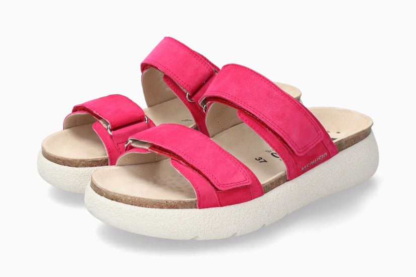 GAYLE FUCHSIA