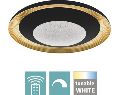 LED plafondlamp, dimbaar, 24,5W, 3000 lm, verstelbare CCT, wit, Ø 49,5 cm, Canicosa zwart/goud + afstandsbediening