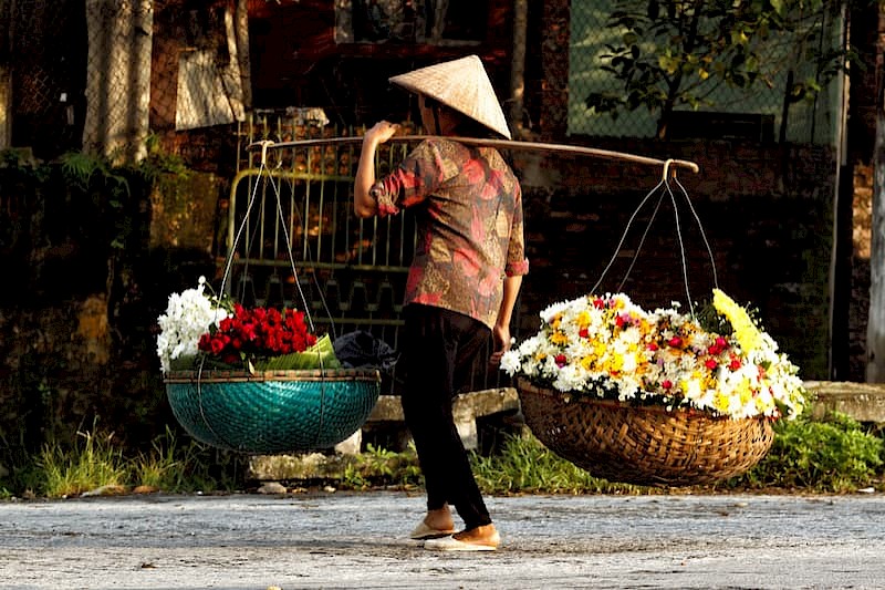 Highlights van Vietnam