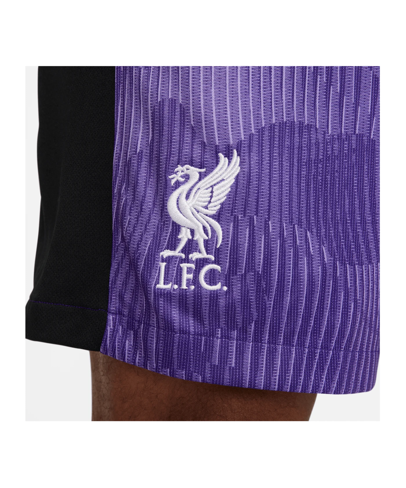 Nike FC Liverpool Short 3rd 2023/2024 F567
