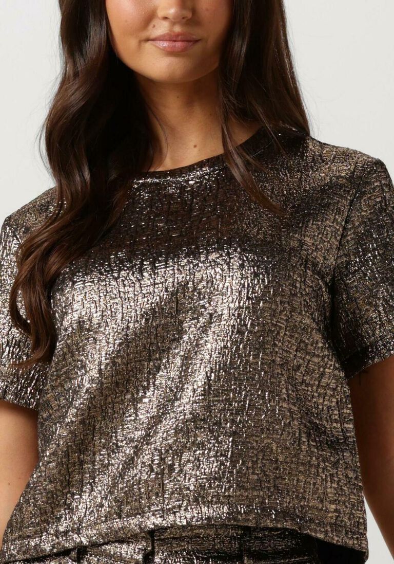 SELECTED FEMME gouden selected femme top slfviolet ss top ex