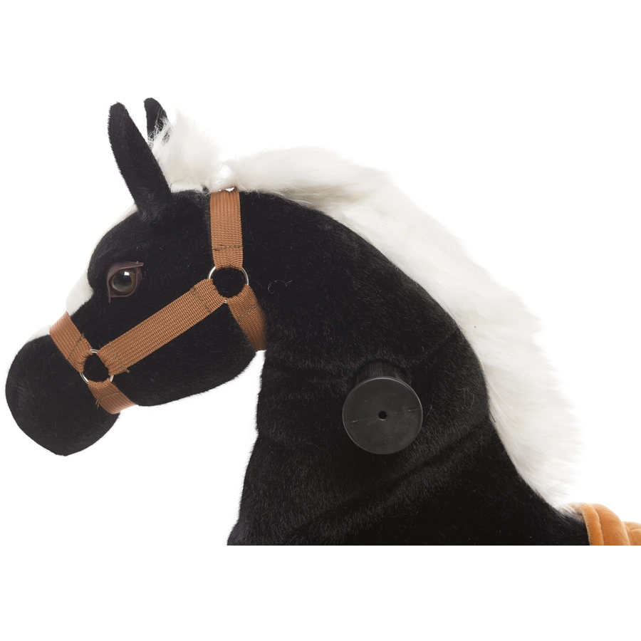 Animal Riding Reittier Pferd Maharadscha S Schwarz Schwarz