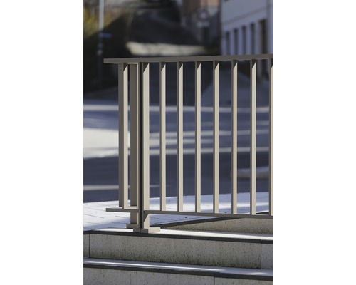 Pertura Triton taupe L-vormige aluminium leuning complete set voor vloermontage, 2,5 m