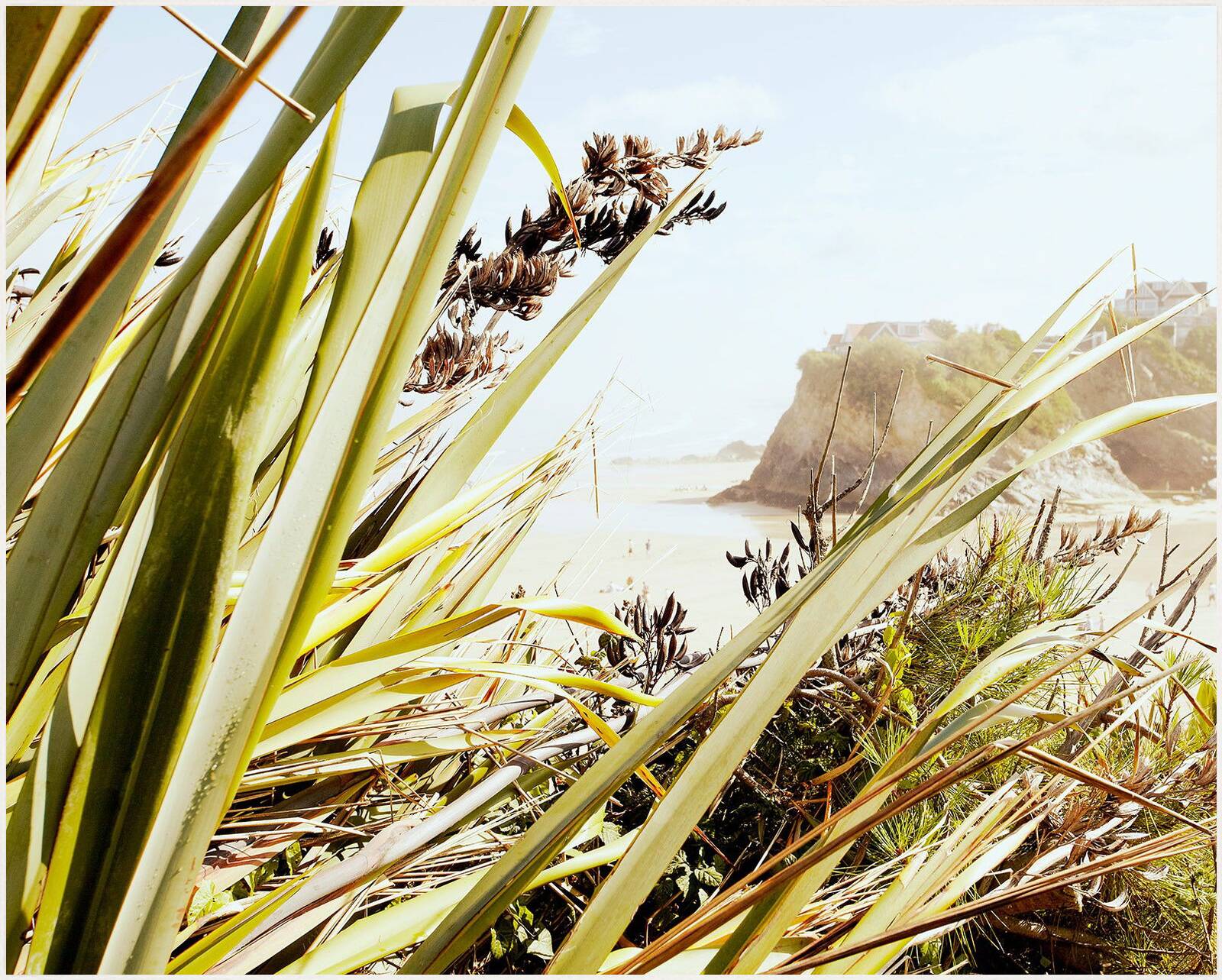 Hidden  by Mark Leary - Limited Edition. Edition of: 150. Signed.
