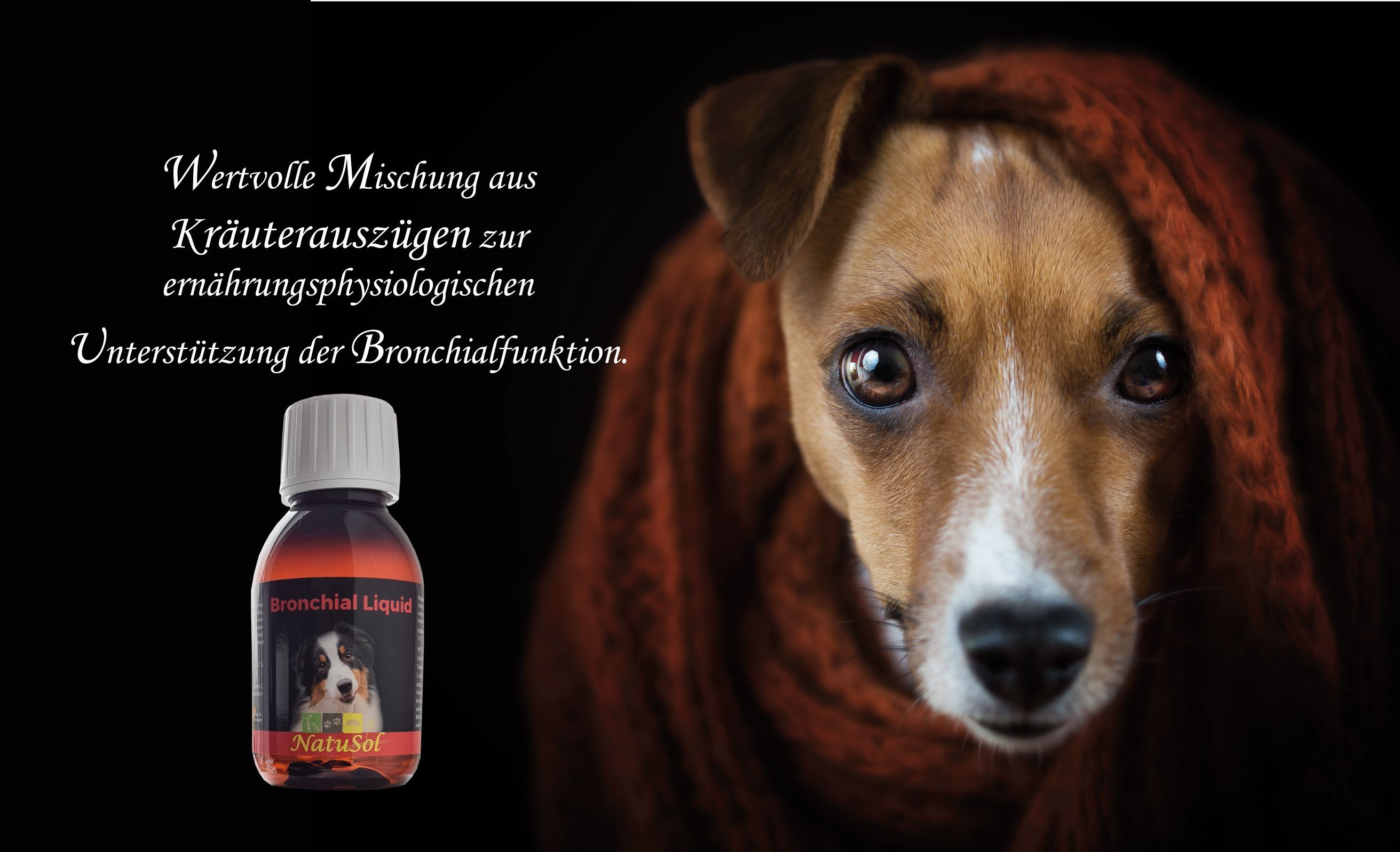 NatuSol Bronchial Liquid für Hunde - Wertvolle natürliche Kräuter zur Unterstützung der Atemwege
