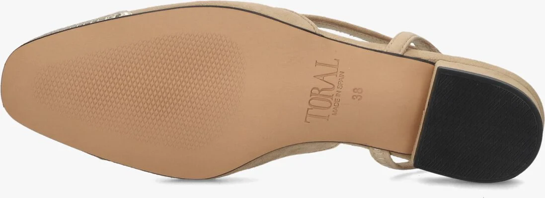 TORAL camel toral  luisa