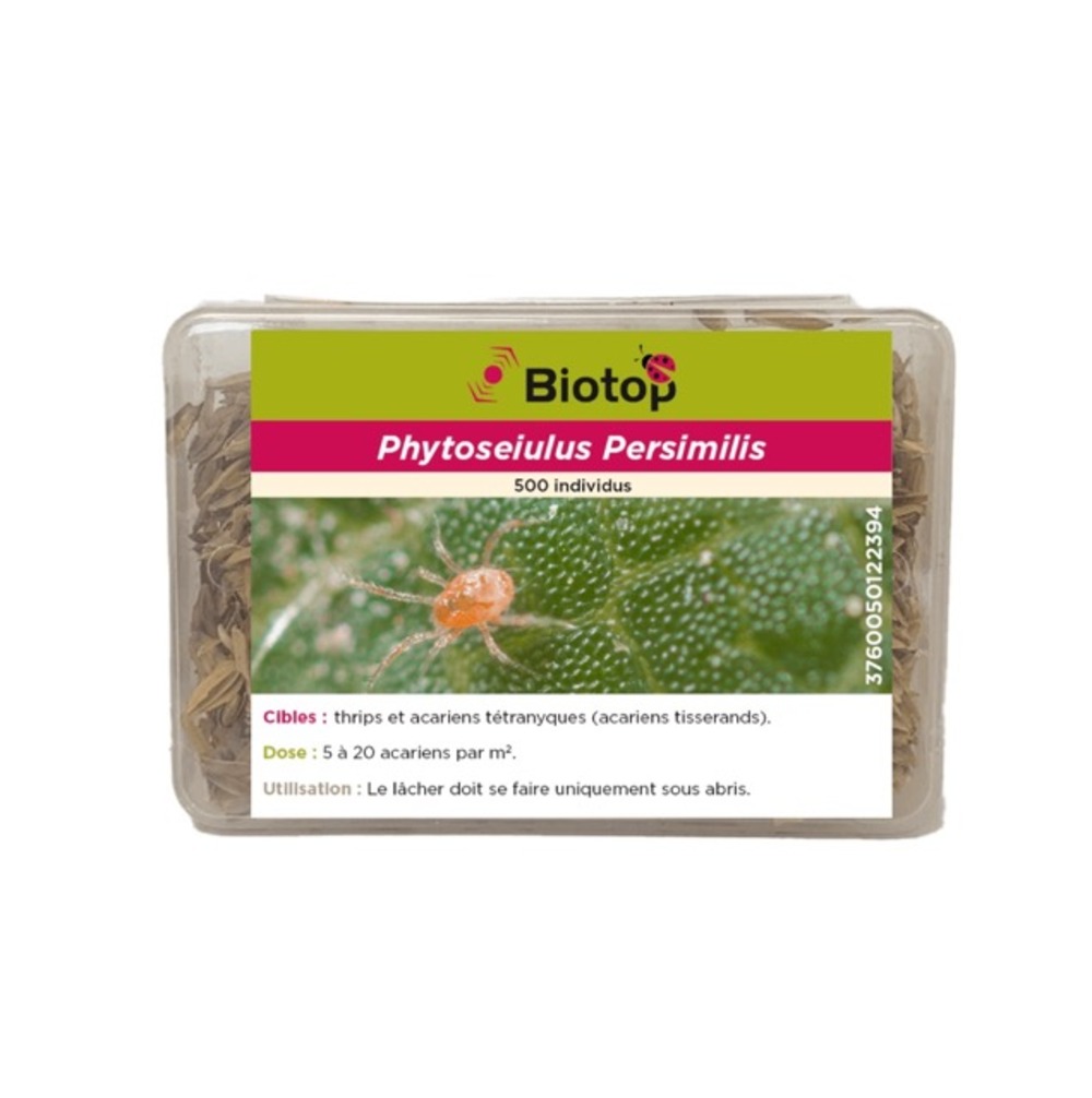500 acariens phytoseiulus