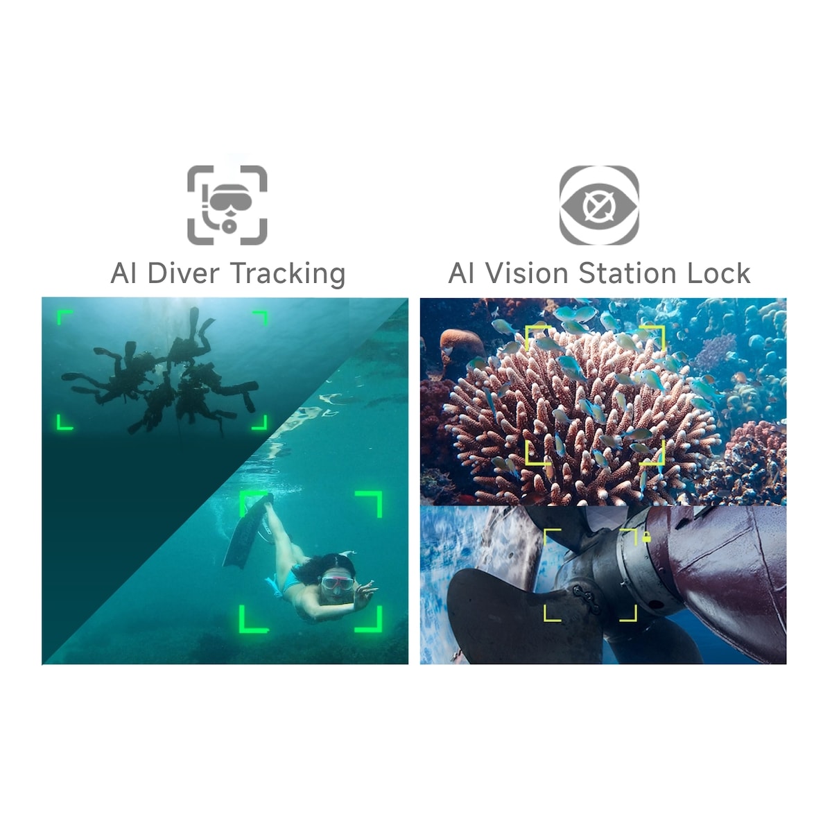 FIFISH V-EVO 100m m/Gripearm - Undervannsdrone