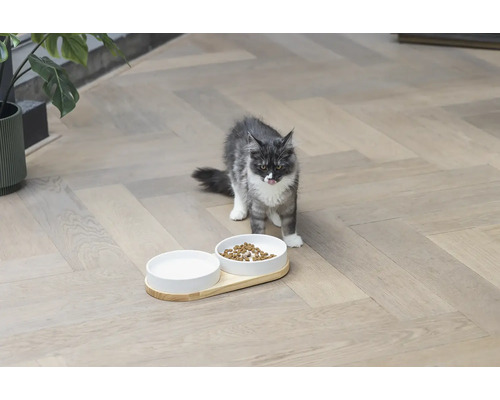 Dubbele kom ontworpen door Lotte, kattenservies, houten komstandaard ca. 34 x 17 x 5 cm met 2 keramische kommen, vaatwasserbestendig ca. 16 x 16 x 3,5 cm, elk 350 ml