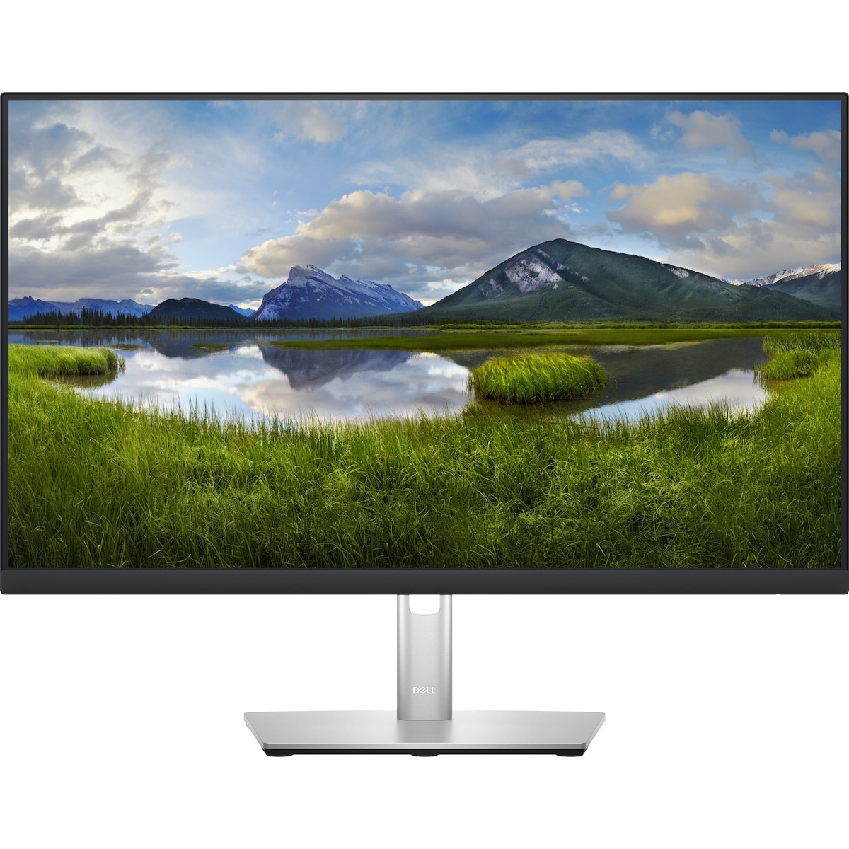 Dell P2423D 23,8