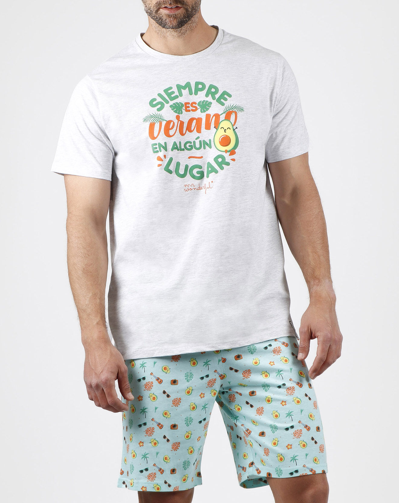 Mr Wonderful Pyjama T-Shirt & Short Valentin Wenceslas gris/vert