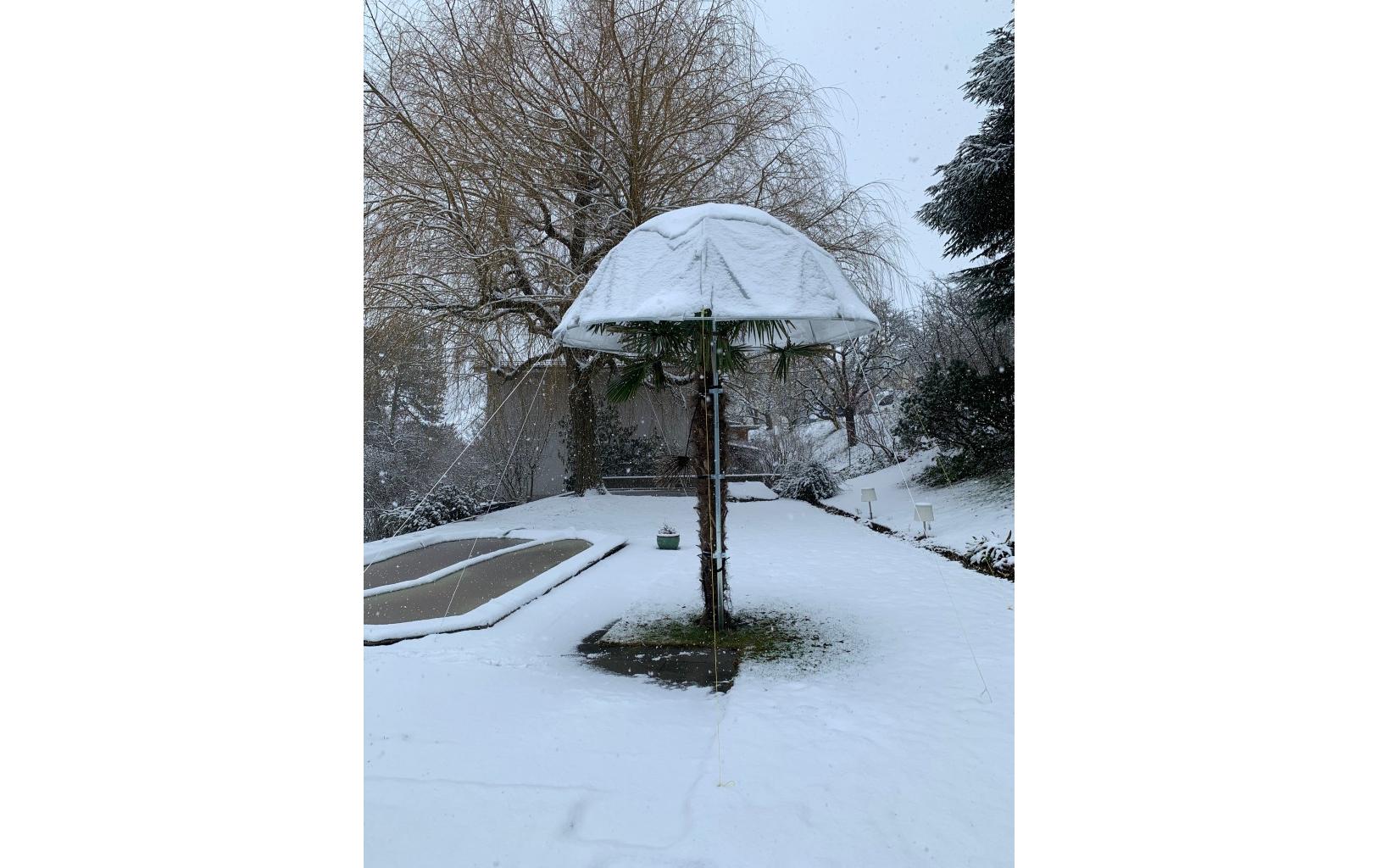 Palmenhut Premium Ø 280 x H 112-520 cm<br>Palmenhut Premium