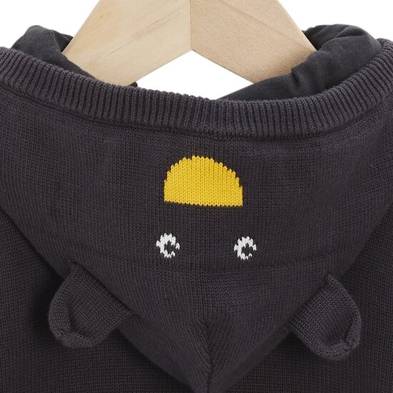 Veste en tricot à capuche   Gris        de               P'tit bisou