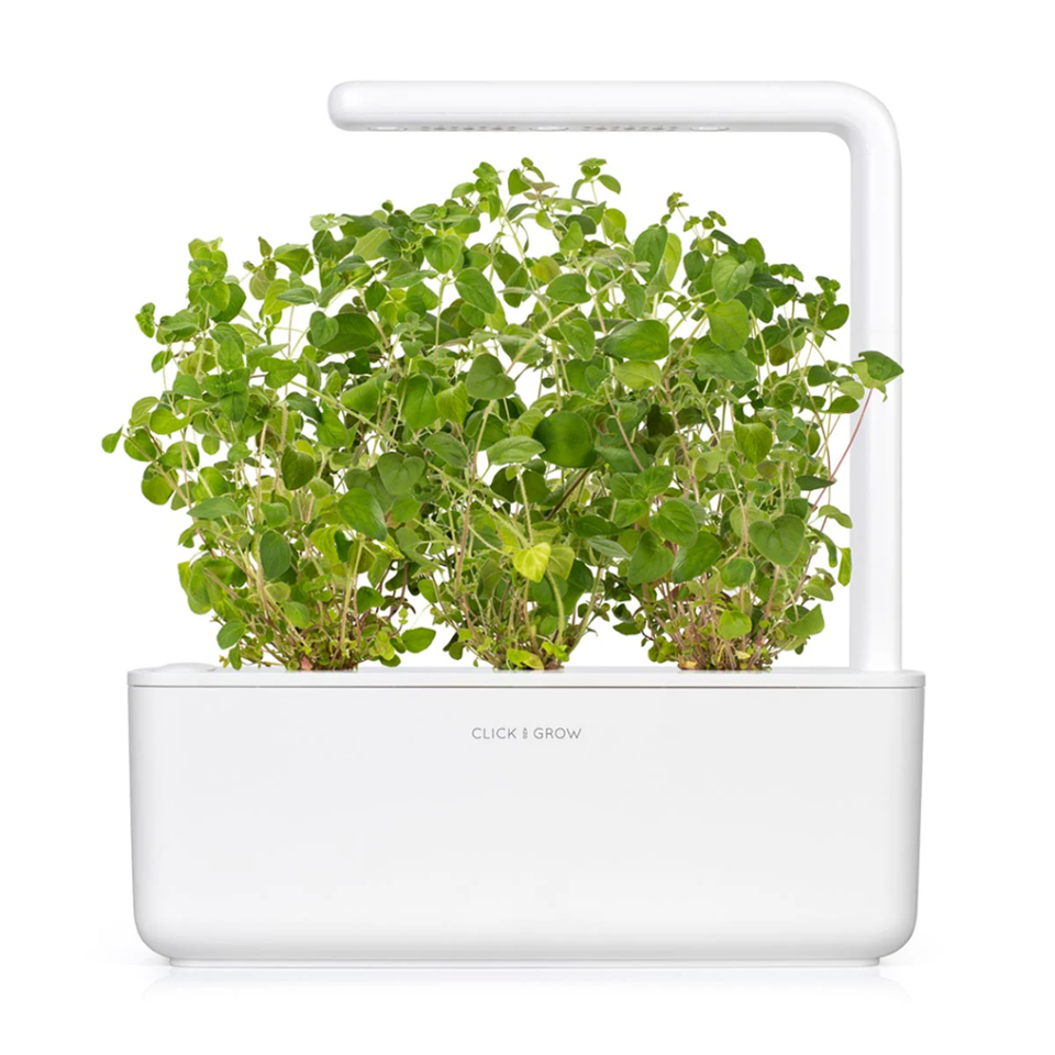 Click and Grow - Smart Garden Refill 3-pack Oregano