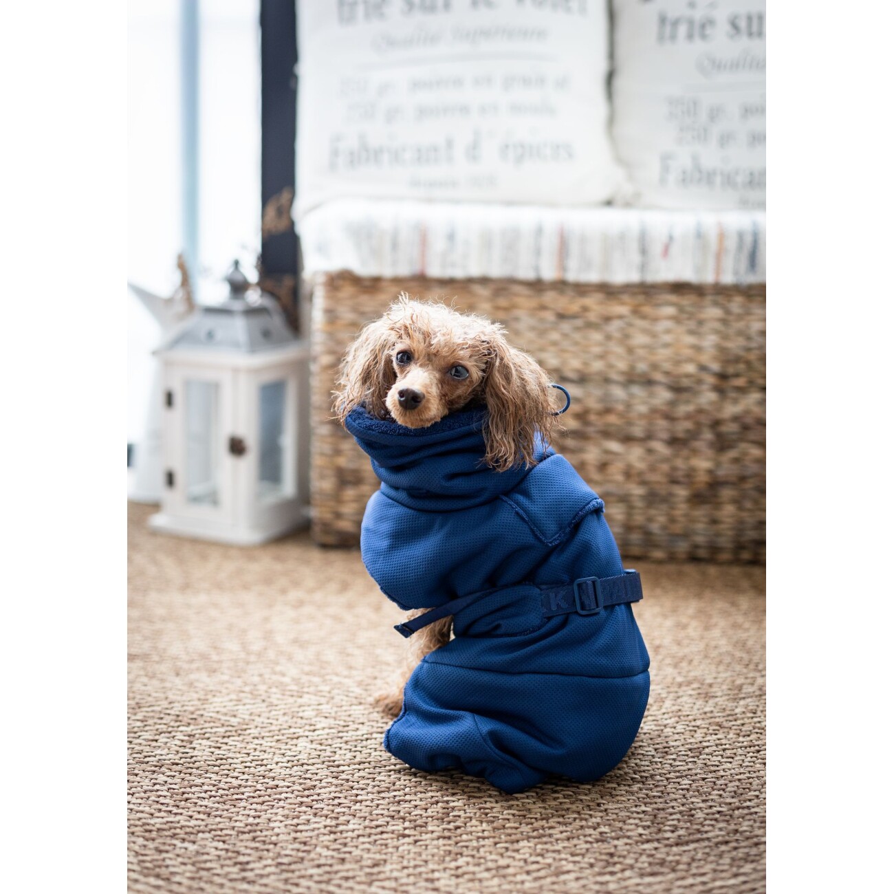 Paikka Drying Coat 2Go navy 30 cm