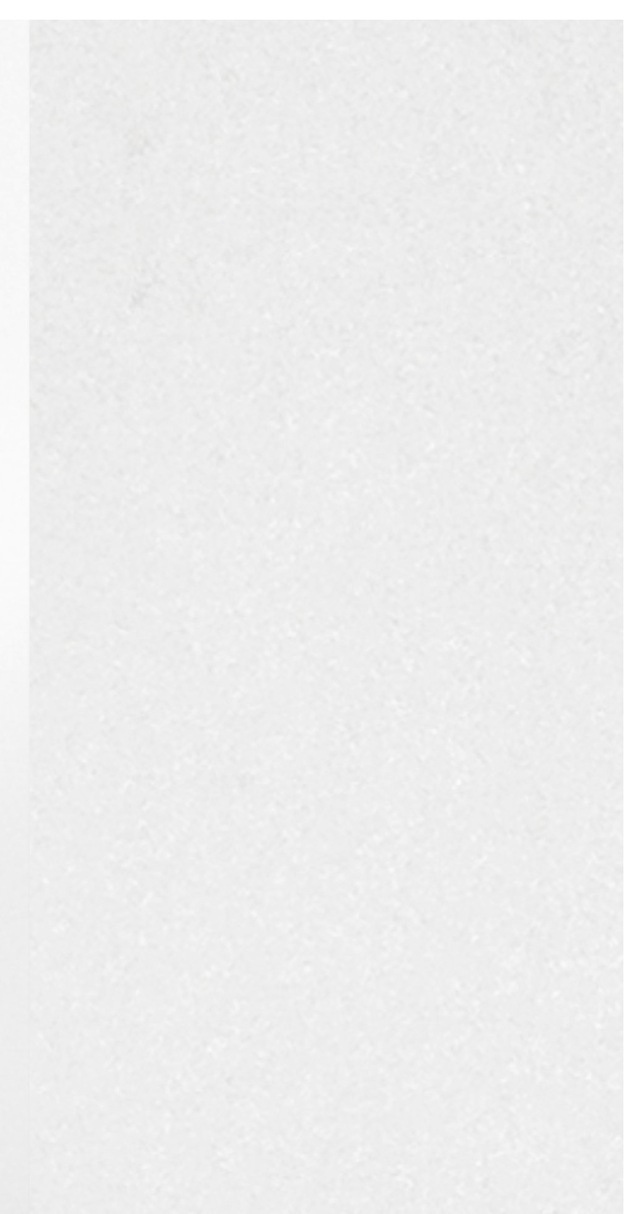 welltime Hängeschrank »Kaunas« BxTxH: 40x20x64 cm