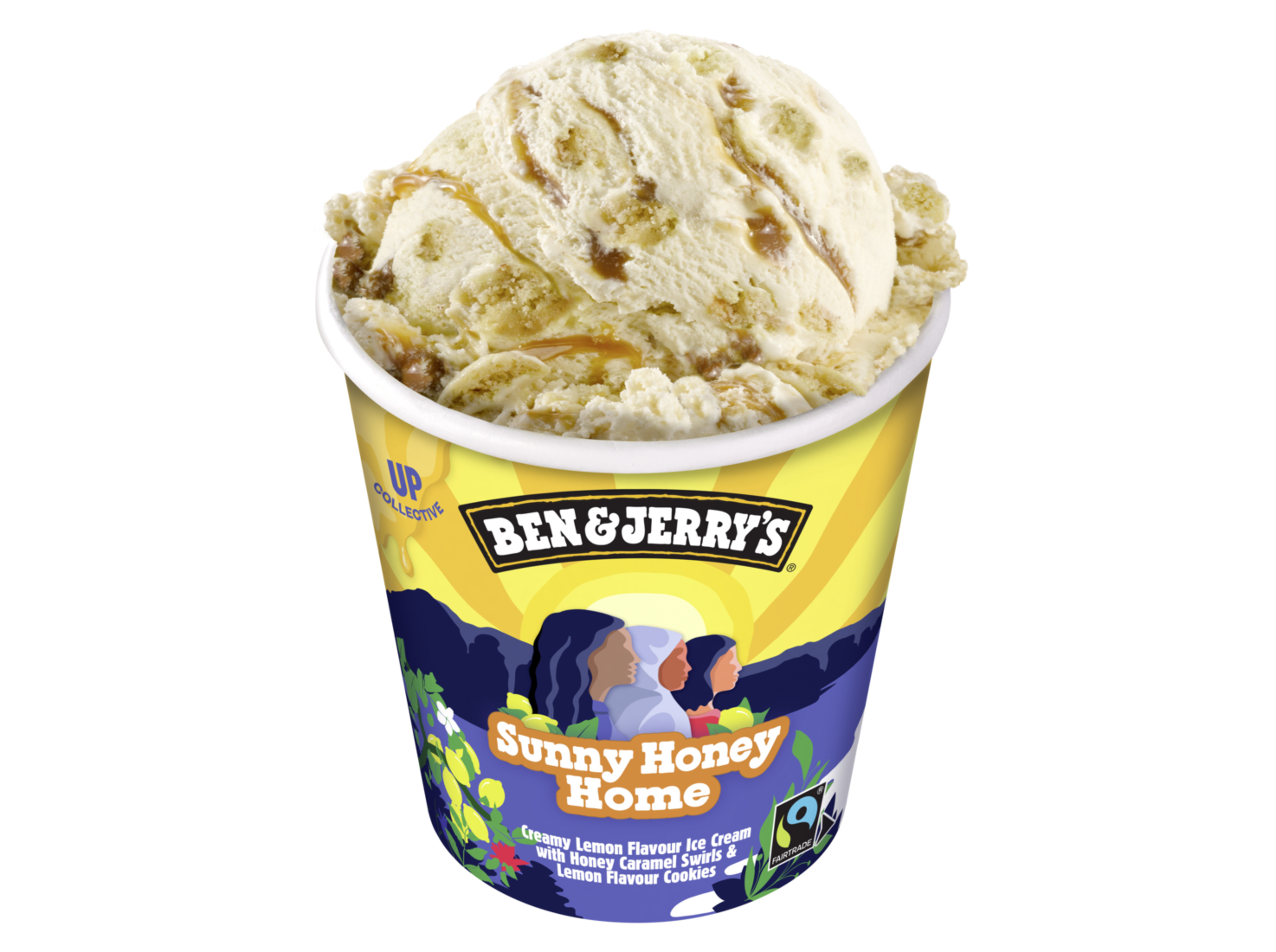 GELADO BEN & JERRY'S SUNNY HONEY HOME 465ML