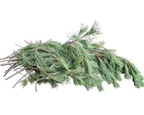 Zijden dennentakken, gesneden groen, handgebonden bos ca. 2,5 kg