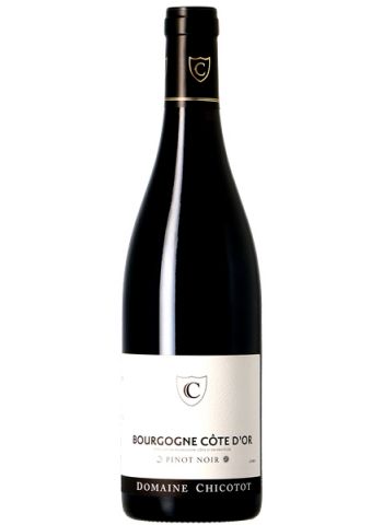 Bourgogne Côte d'Or - Chicotot