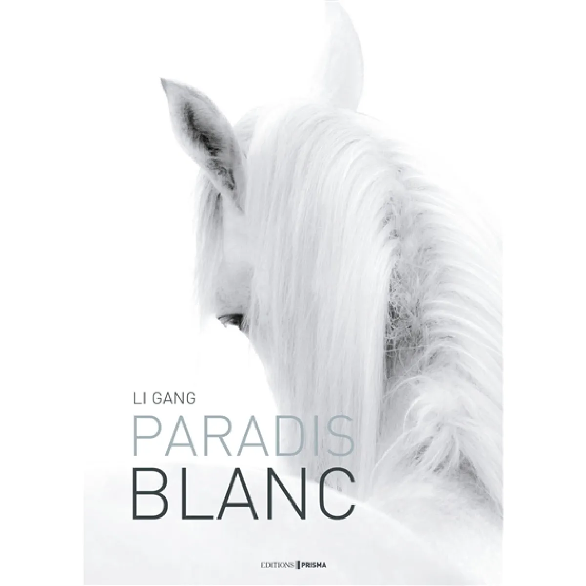 Paradis blanc · Occasion