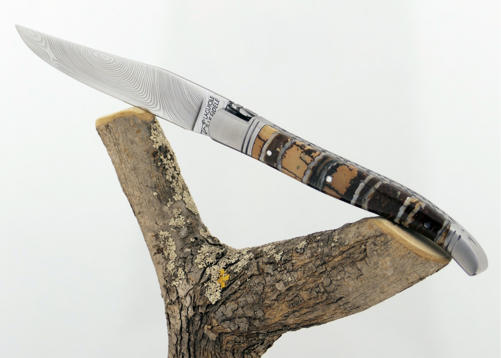 Couteau Laguiole avec un manche en Molaire de Mammouth Fossile