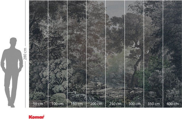 Komar Fototapete »Digitaldruck Vlies -  Wood Wide Web - Grösse 400 x 280 cm« bedruckt glatt Wohnzimmer, Schlafzimmer
