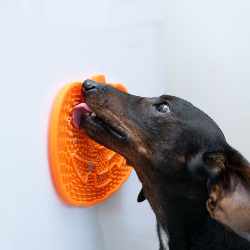 Tapis à lécher TIAKI Citrouille pour chien et chat