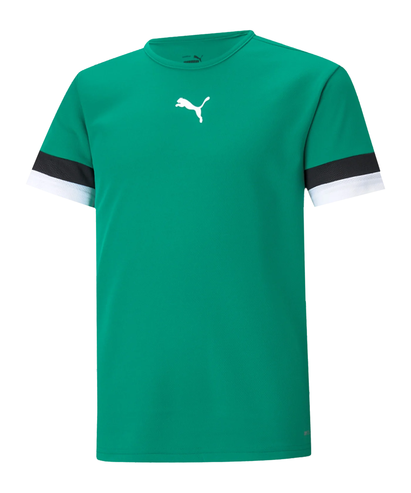 PUMA teamRISE Trikot Kids Grün F05